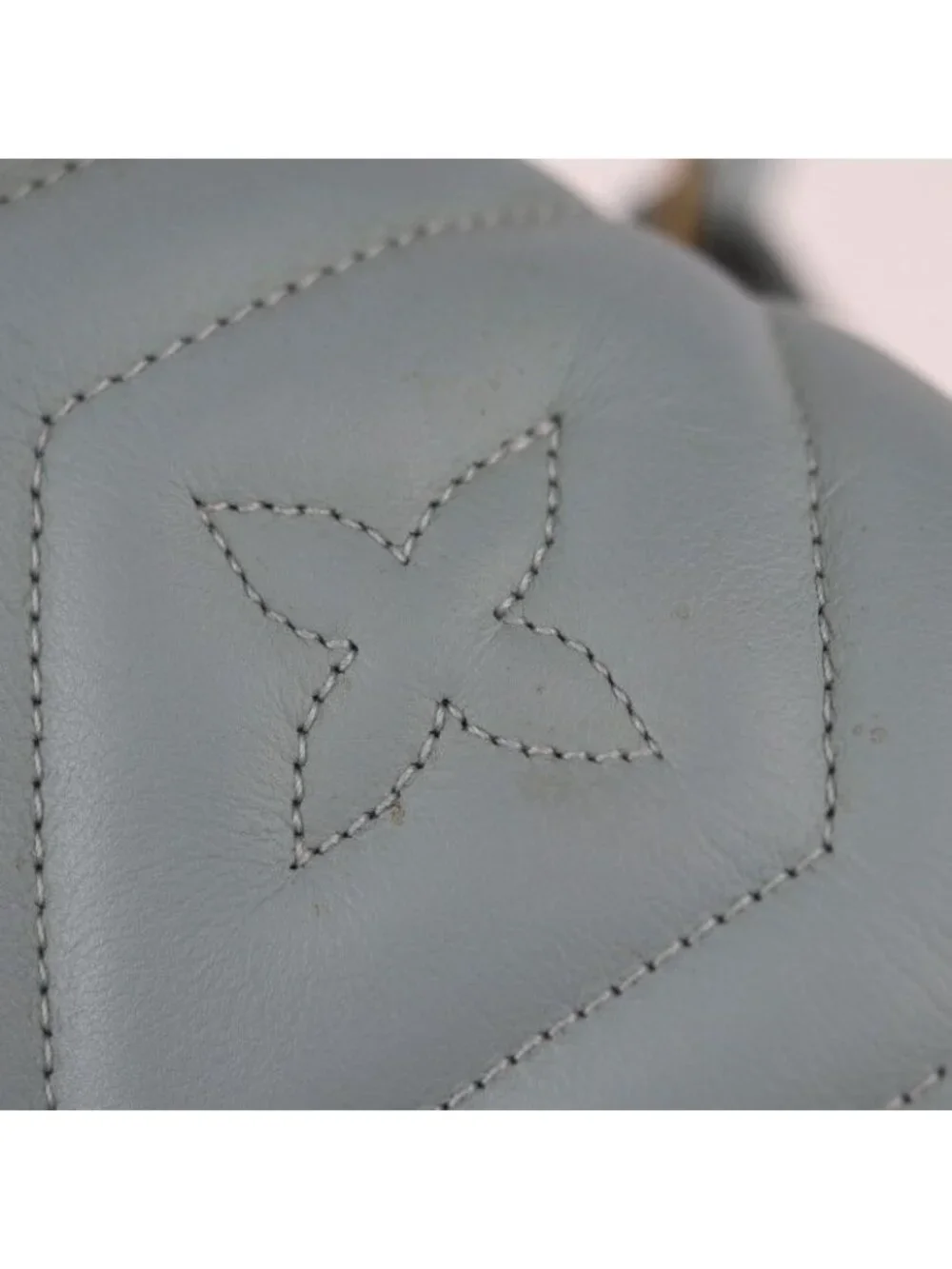 Louis Vuitton brand louis